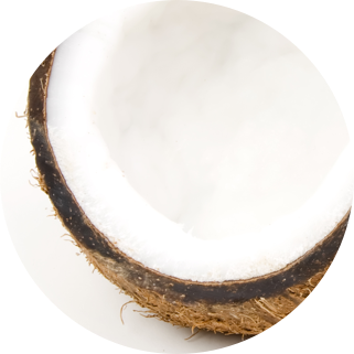 coconut-ingredient