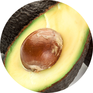avocado-willow-ingredient