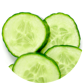 cucumber-extract-ingredient