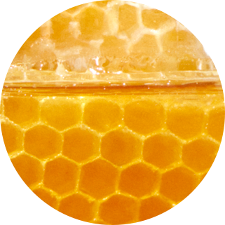 honey-ingredient