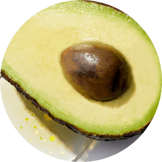 ingredient-avocado_extract