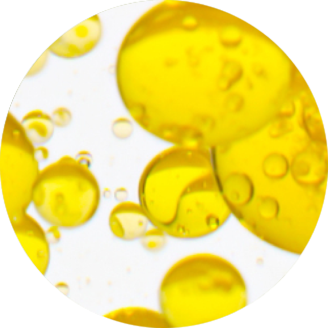 817550_Lipid_Cleansing_Balm_PDP_Ingredient_Lipids